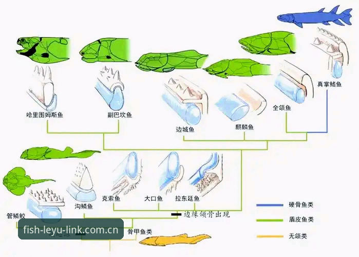 深度揭秘乐鱼体育平台官网：从赛事数据到极致体验的进化之路